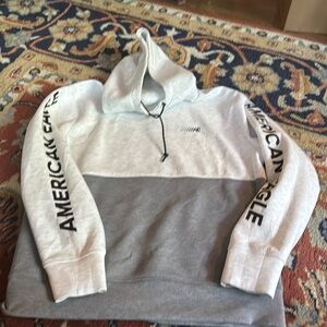 American Eagle Men’s Large grey color locked Hoodie